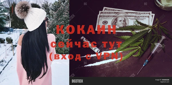 винт Алзамай
